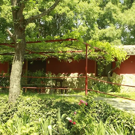 El Pinajarro