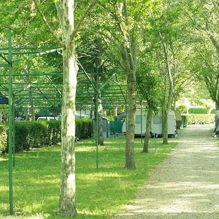 Campsite El Pinajarro *