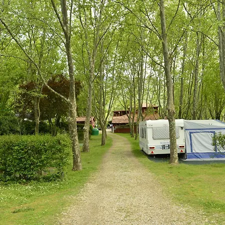 El Pinajarro