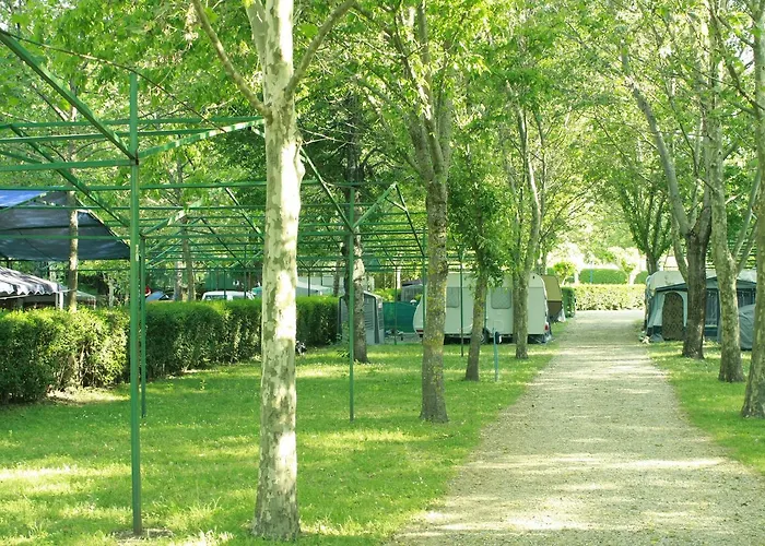 Campsite El Pinajarro *